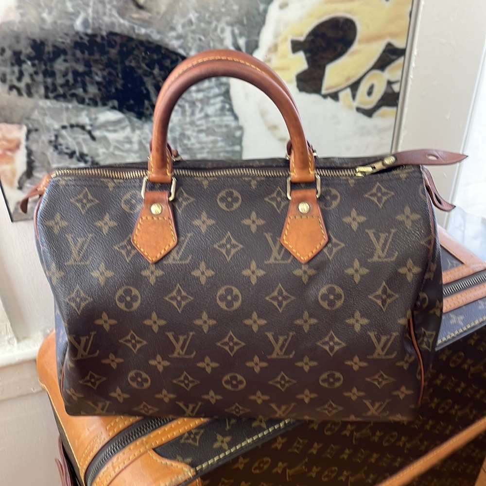 Louis Vuitton Brown Monogram Handbag